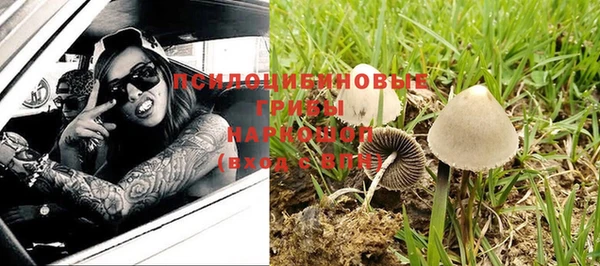 дмт Алексин
