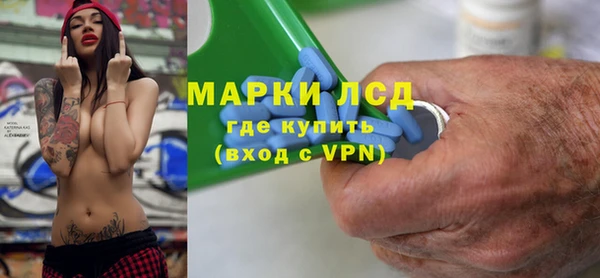 прущие грибы Алзамай