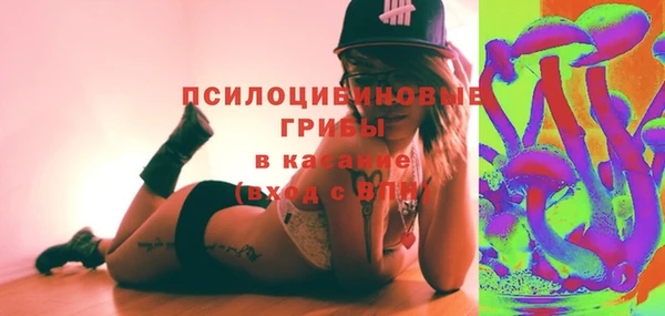 дмт Алексин