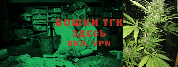 прущие грибы Алзамай
