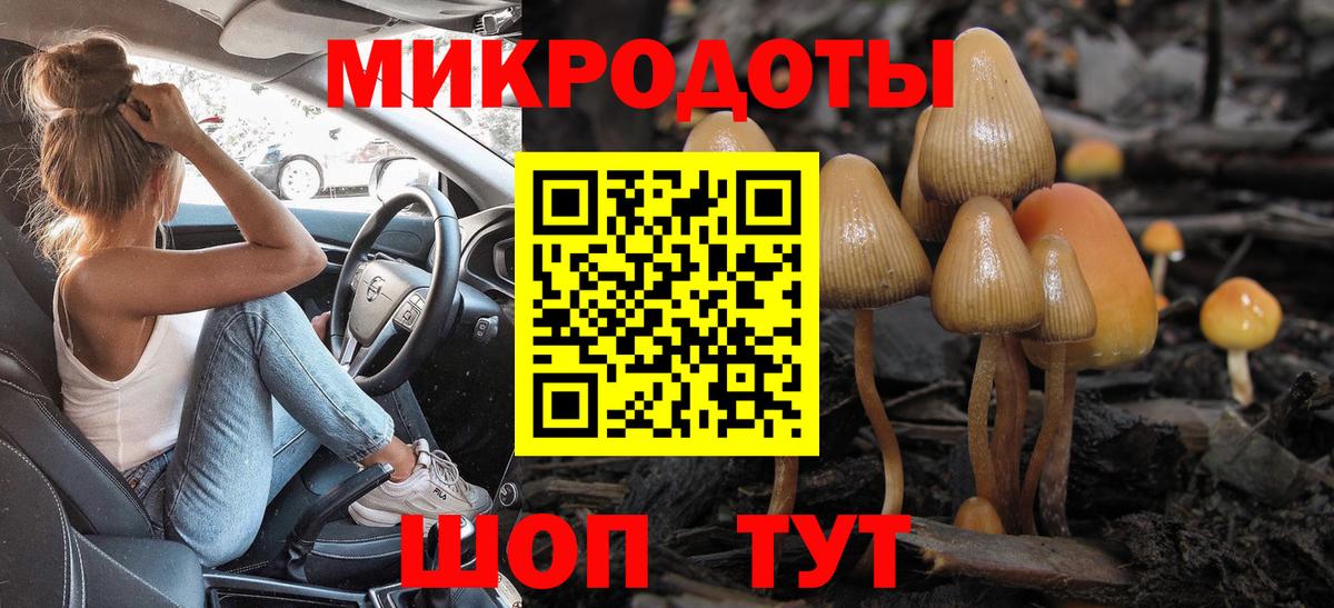Галлюциногенные грибы прущие грибы Каспийск